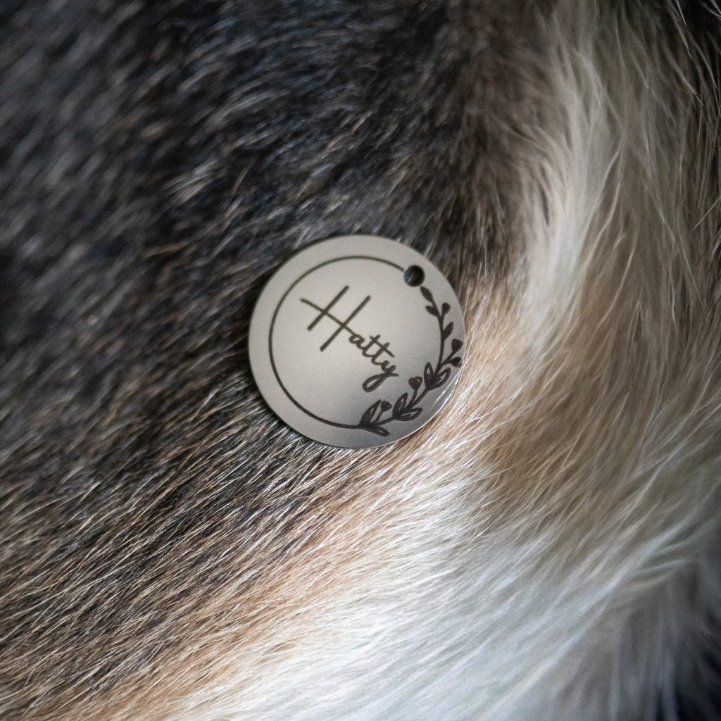 Hundemarke personalisiert