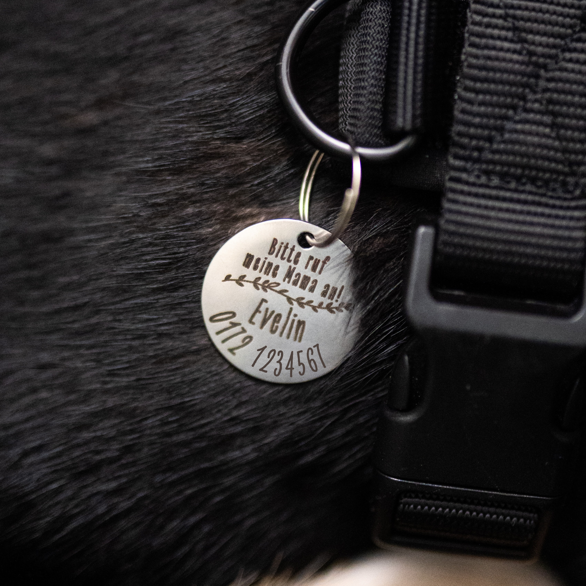 Hundemarke personalisiert