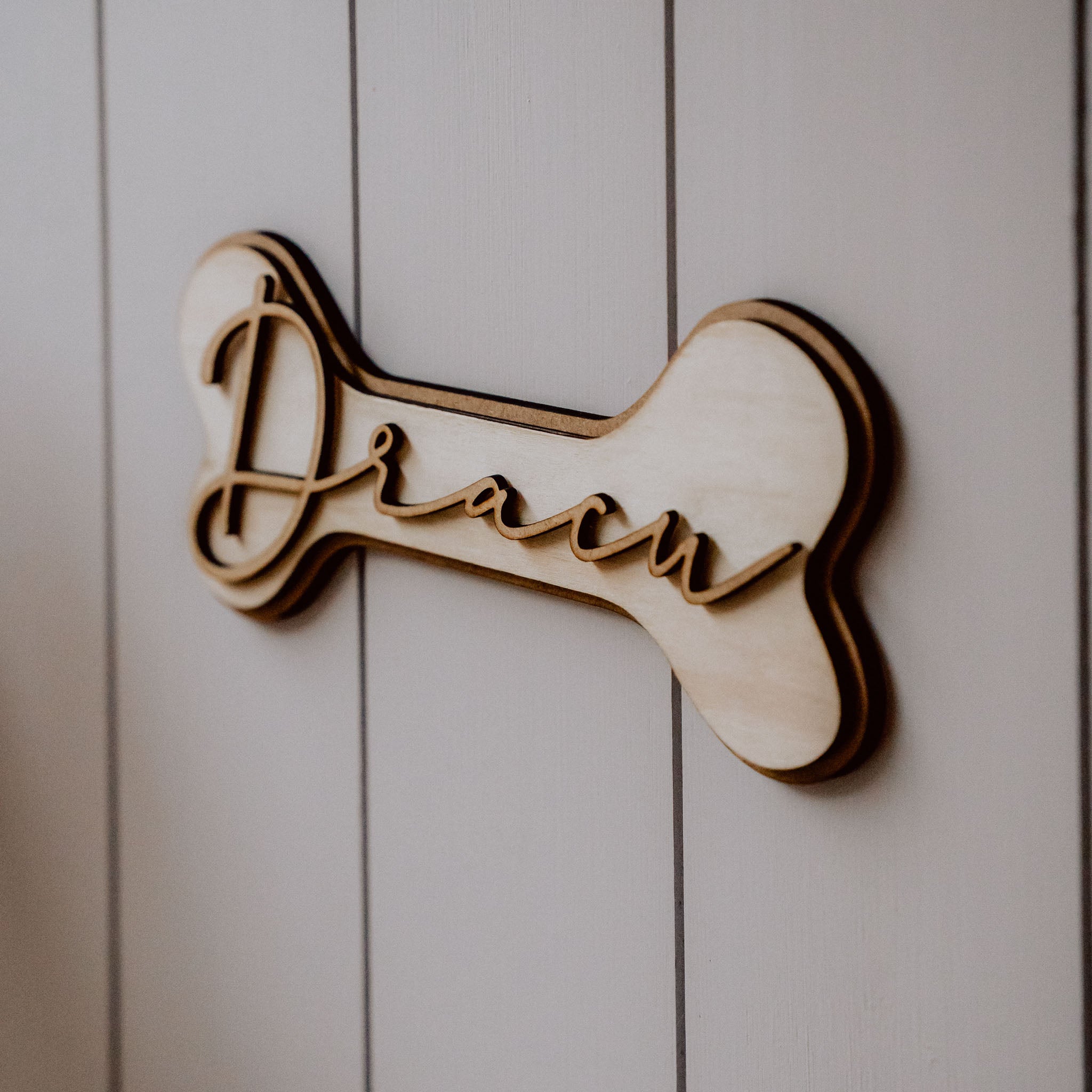 Hunde Namensschild - Knochen Classic