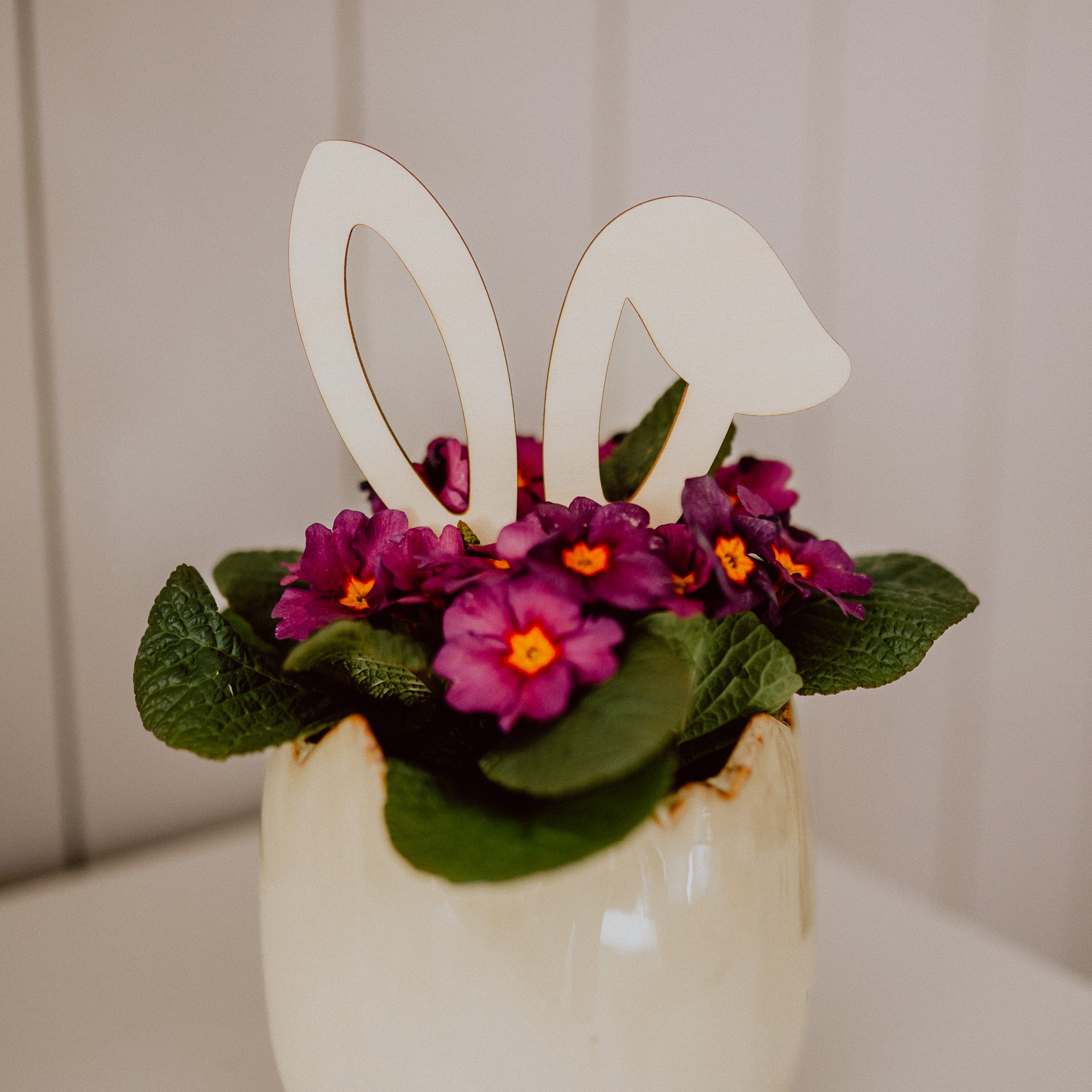 Hasenohren Deko-Stecker für Blumen und Kuchen