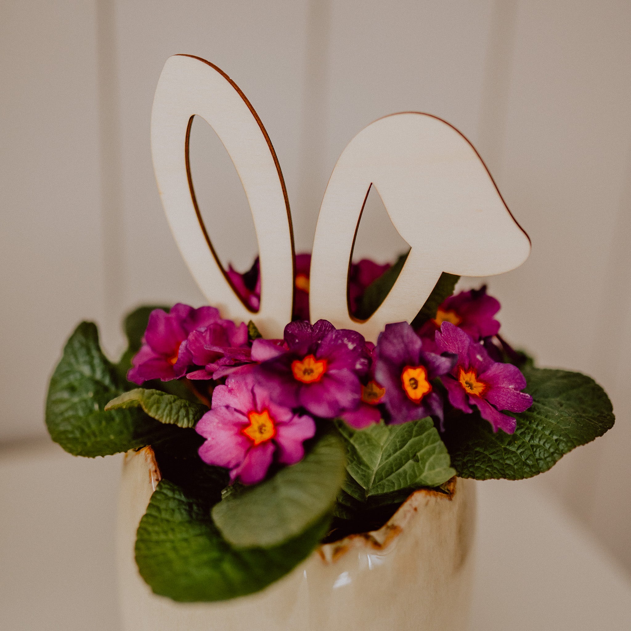 Hasenohren Deko-Stecker für Blumen und Kuchen
