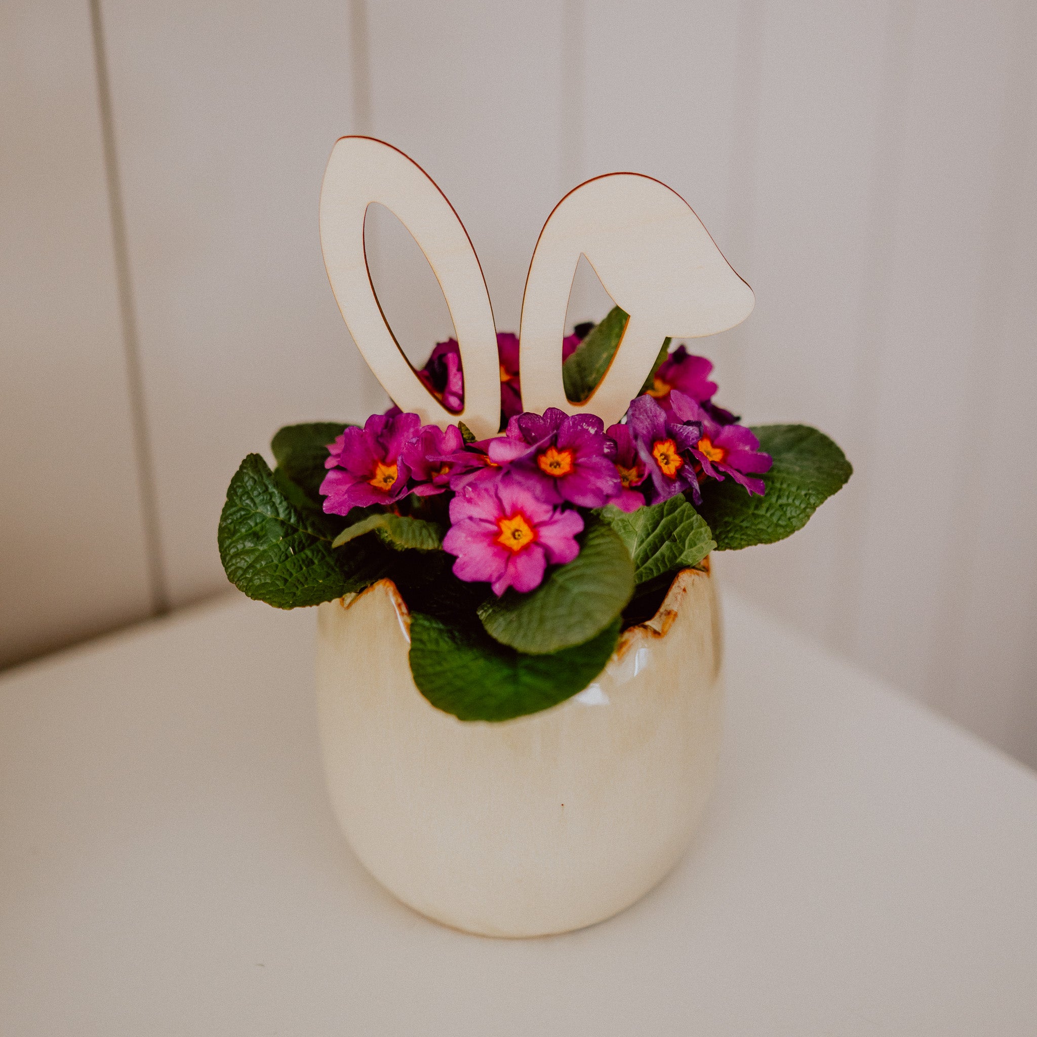 Hasenohren Deko-Stecker für Blumen und Kuchen