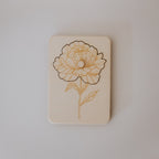 Schwangerschafts-Ankündigung