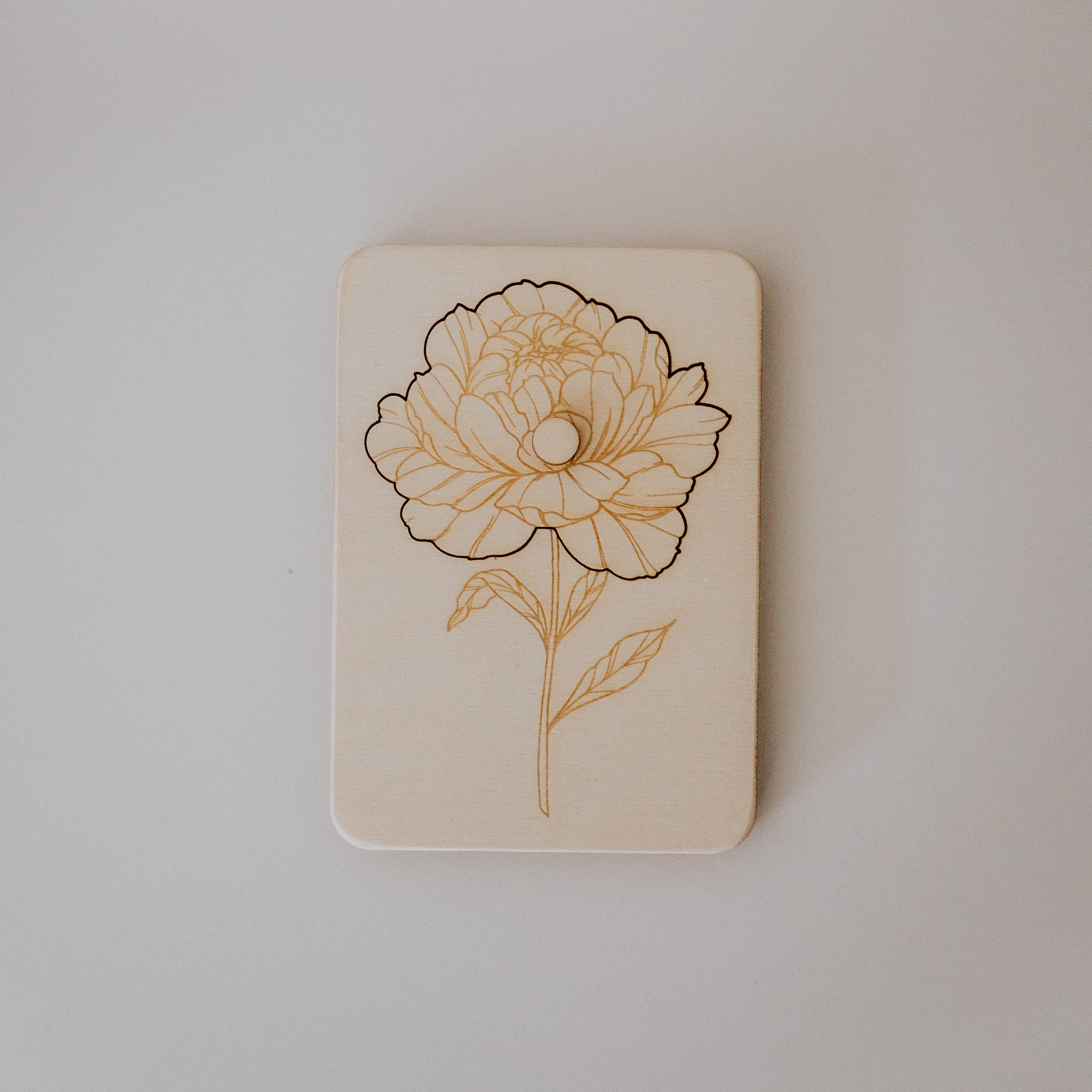 Schwangerschafts-Ankündigung